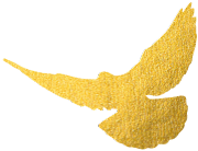 【堡壘行(xíng)動·标杆支部<1>】車(chē)間(jiān)支部怎麽抓？進來(lái)看(kàn)看(kàn)！